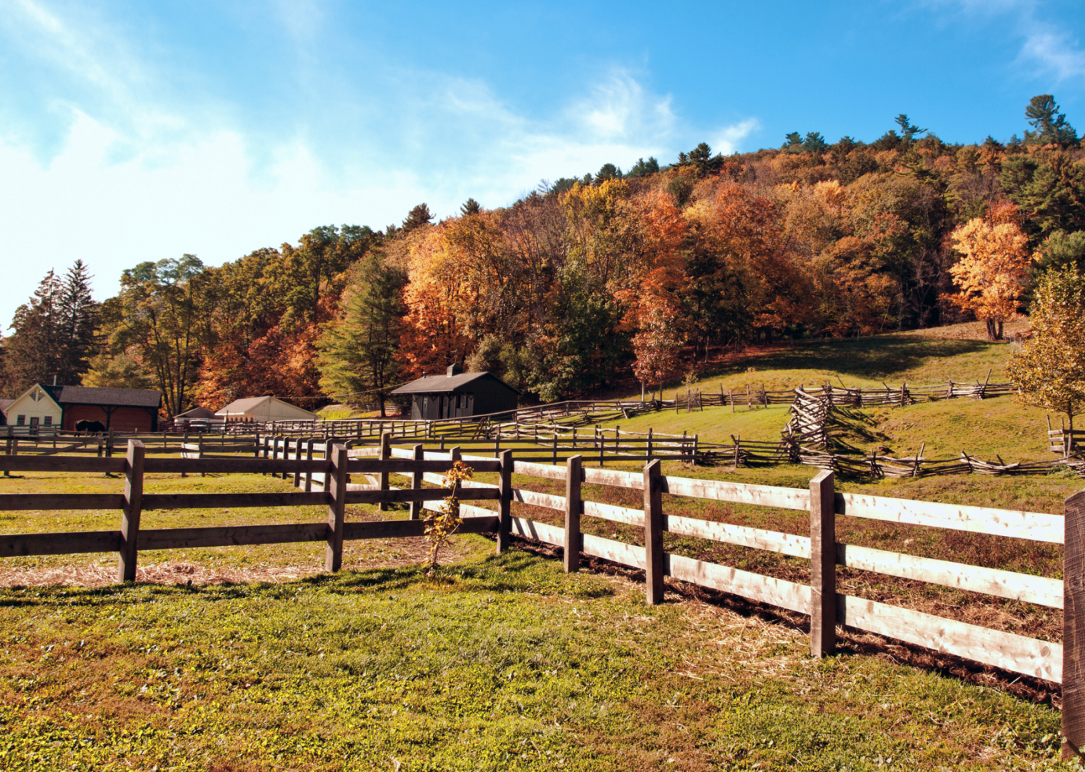 farm fence high quality